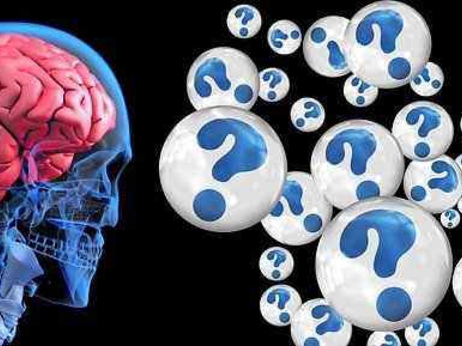 Are the brain and behaviour linked?
