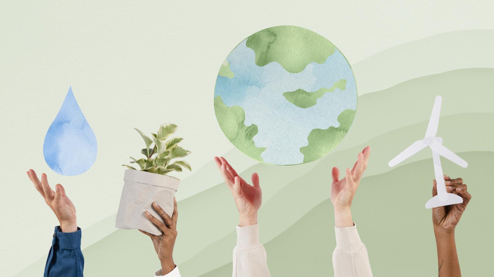 Ecology and Conservation (Study Abroad)