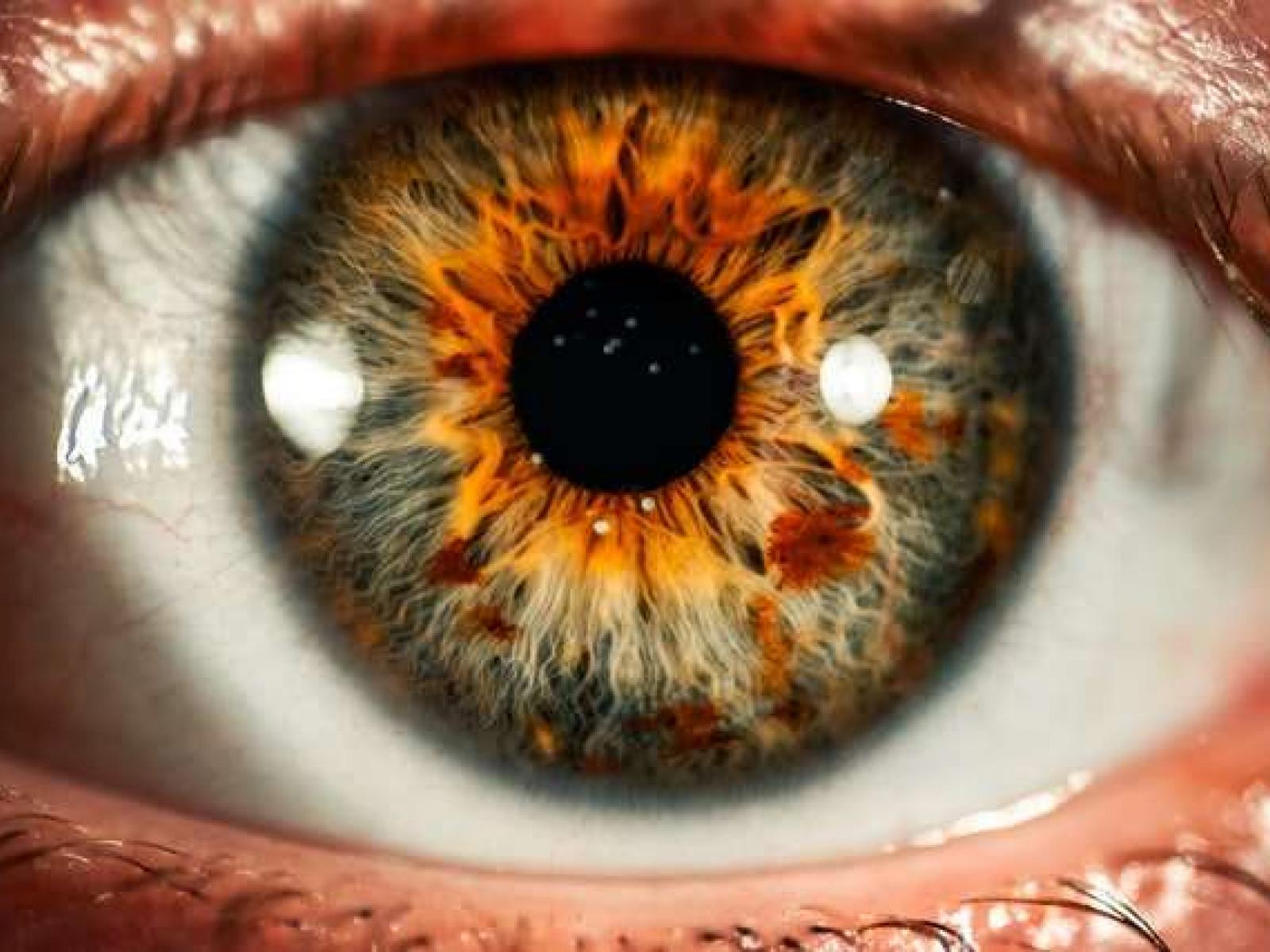 A human eye