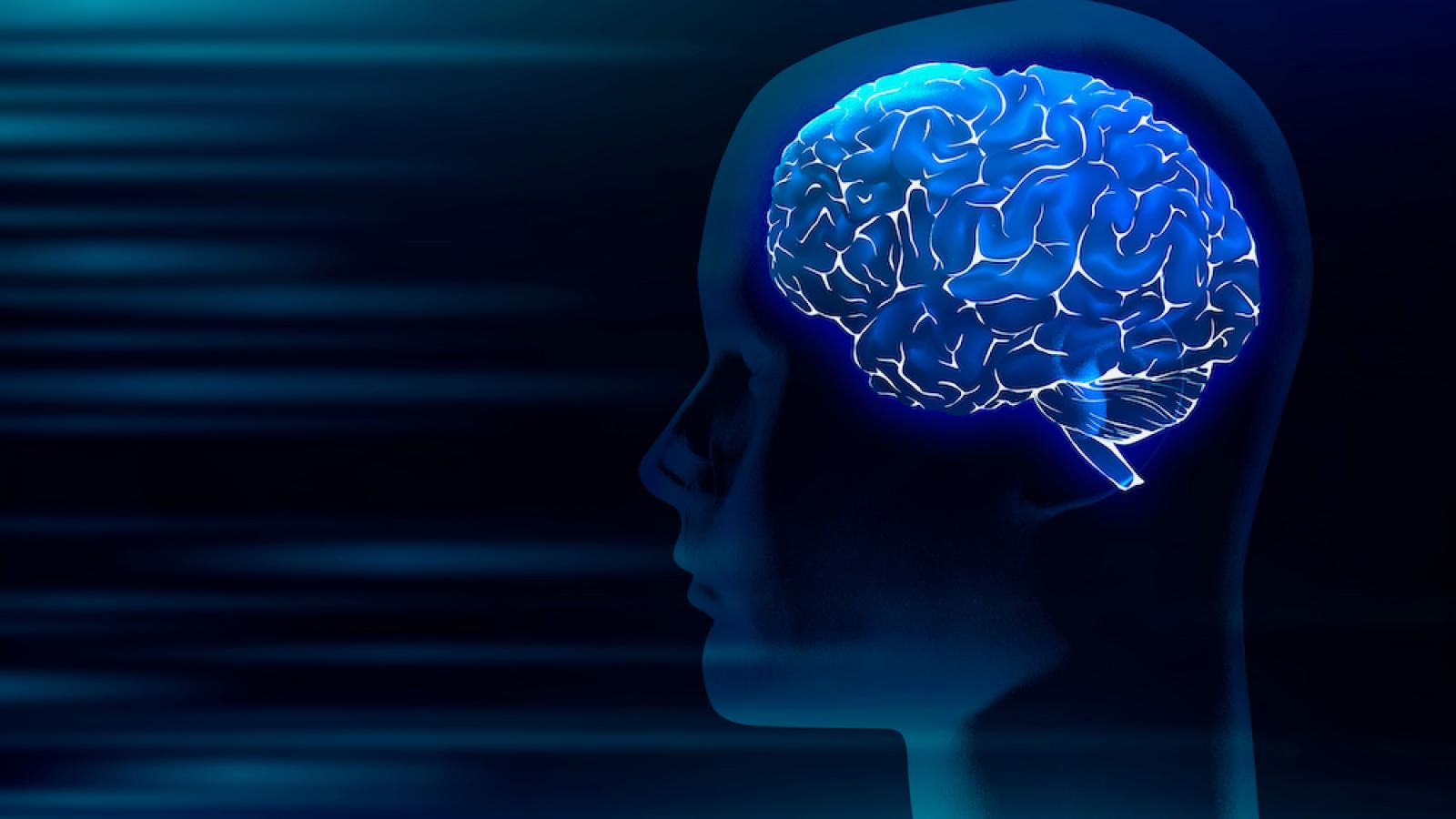 Psychology_with_Cognitive_Neuroscience