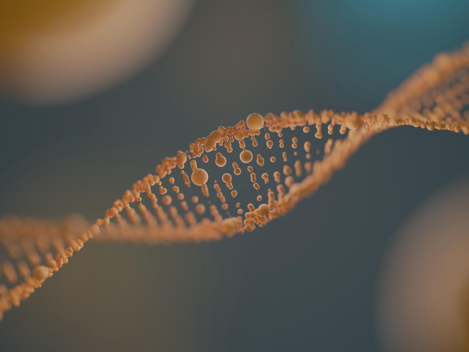 The_Structure_and_Function_of_Cells