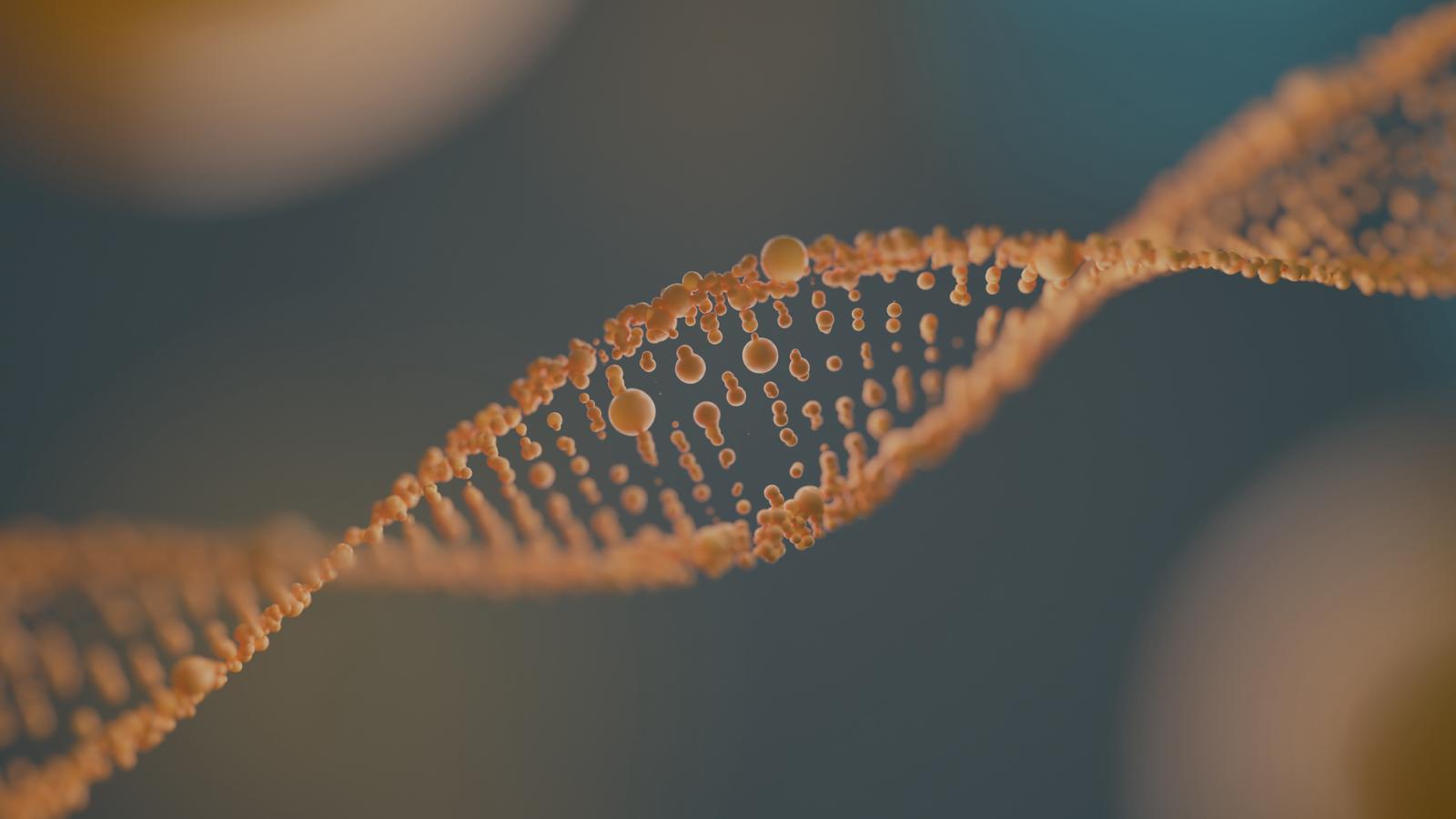 The_Structure_and_Function_of_Cells