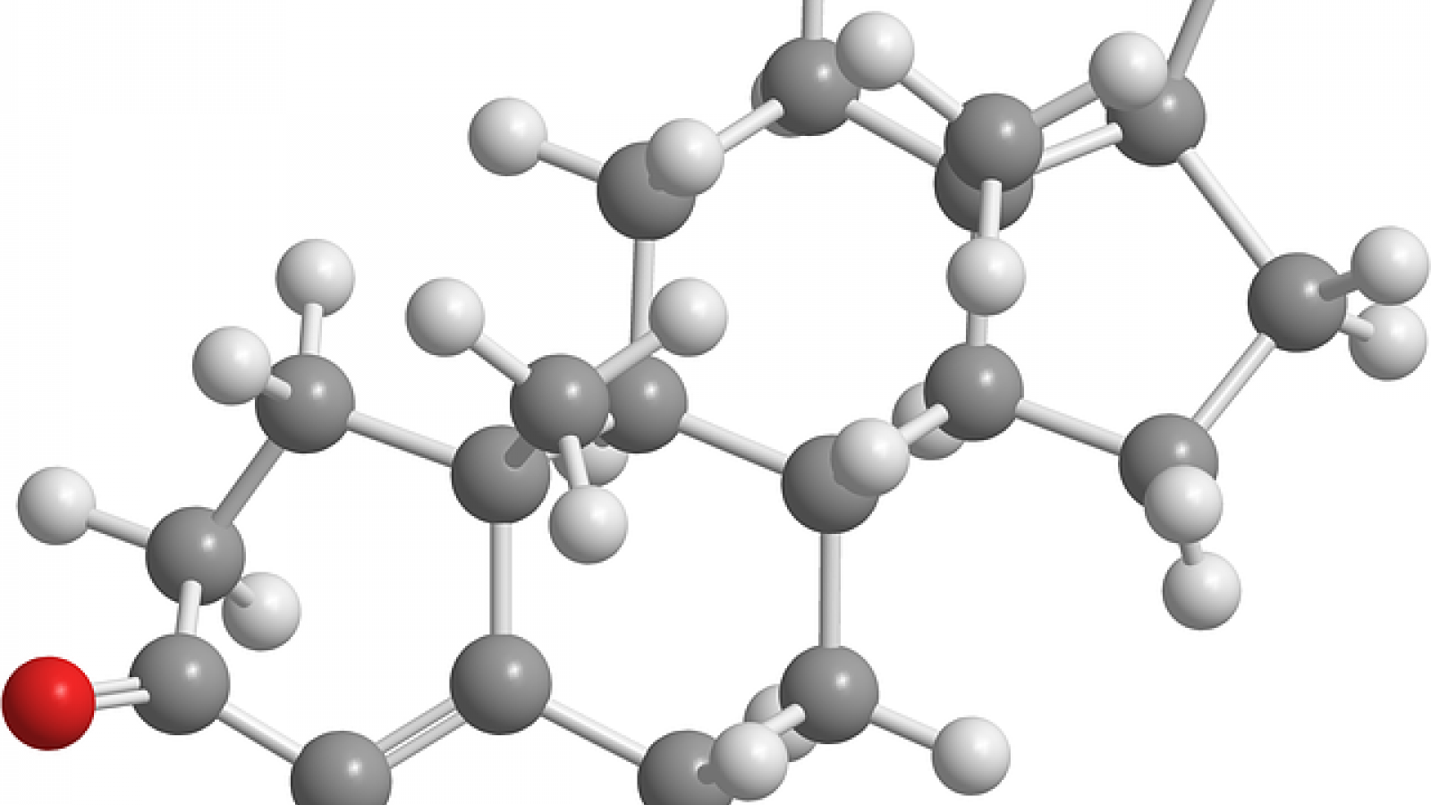 Endocrine system hormones